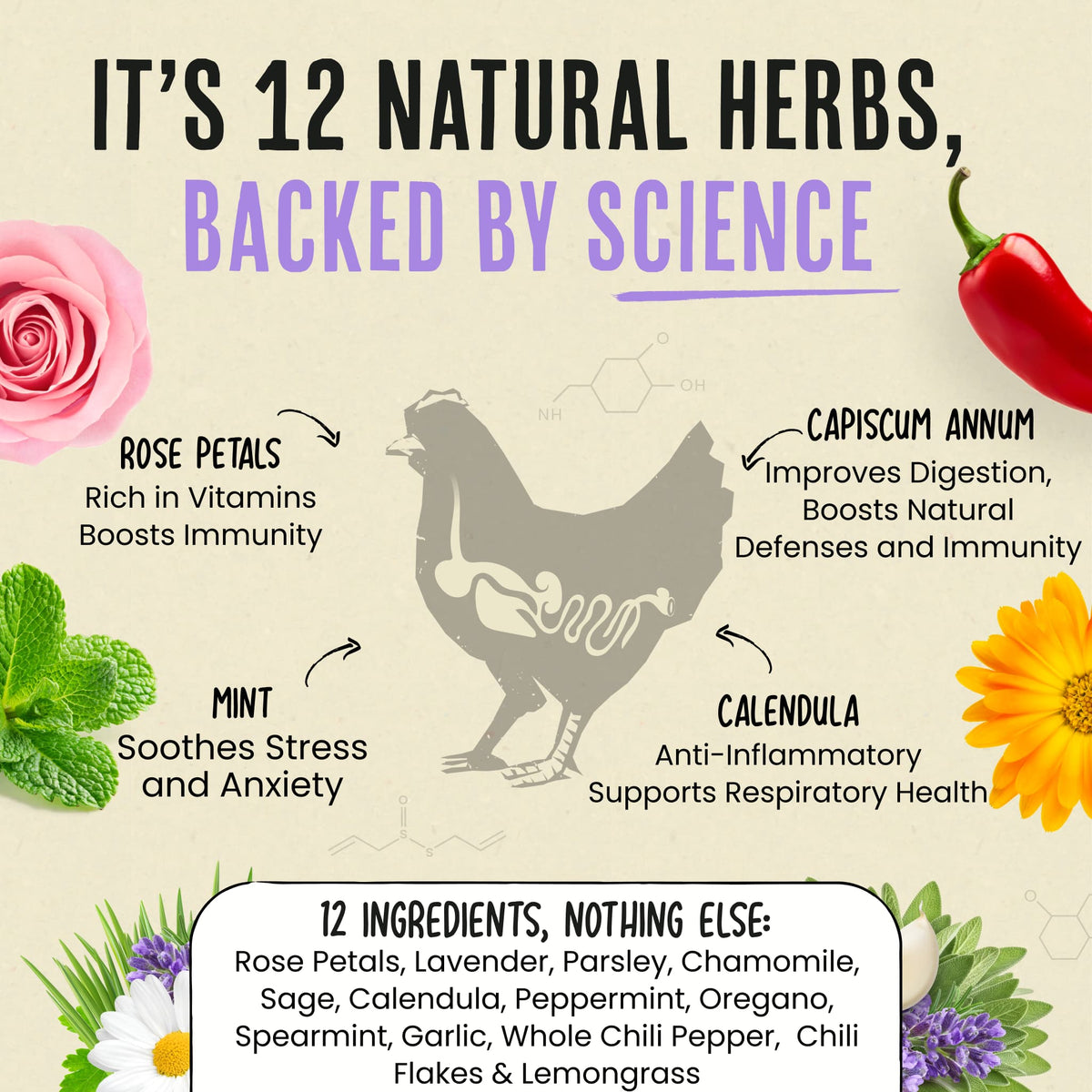 Nesting Herbs - Control Odors & Keep Coops Mite & Lice-Free